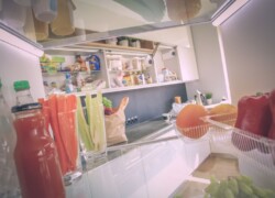 bigstock Open refrigerator with fresh f 278463346 Resized compressed